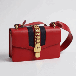 Gucci Sylvie Web Mini Shoulder Bag